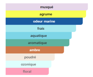 Aqua Pura Fragrance World pour homme et femme
