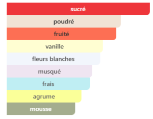 Notes Now Women RAVE pour femme
