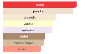 Notes BADEE AL OUD NOBLE BLUSH